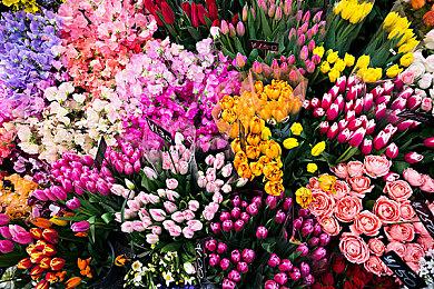 《恐龙小当家》启航测试正式开启，多项游戏内容首次解锁